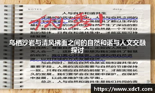 鸟栖沙岩与清风拂面之间的自然和谐与人文交融探讨